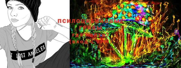 ECSTASY Алзамай