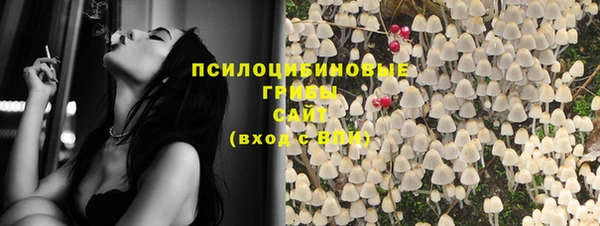 ECSTASY Алзамай