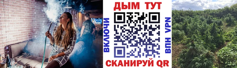 Марихуана тримм  дарнет шоп  Буй 